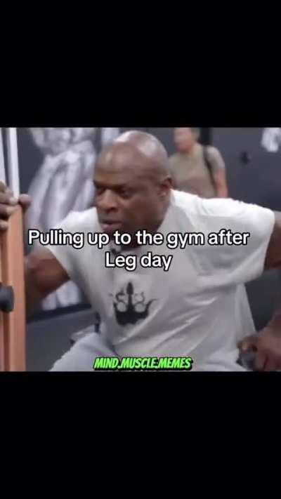 Me pulling up to the r/samsulek sub and only seeing upper body workout and some dude without a shirt on