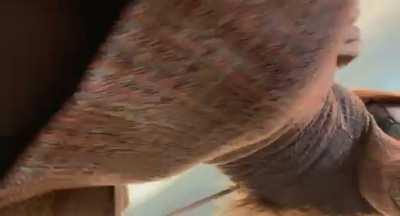 I’m so shy that I stutter when I order my coffee, yet I secretly want strangers to see up my skirt [f]