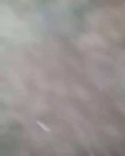 José separado briga do tobia