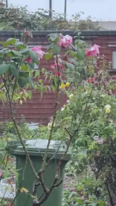 Rain after a heatwave