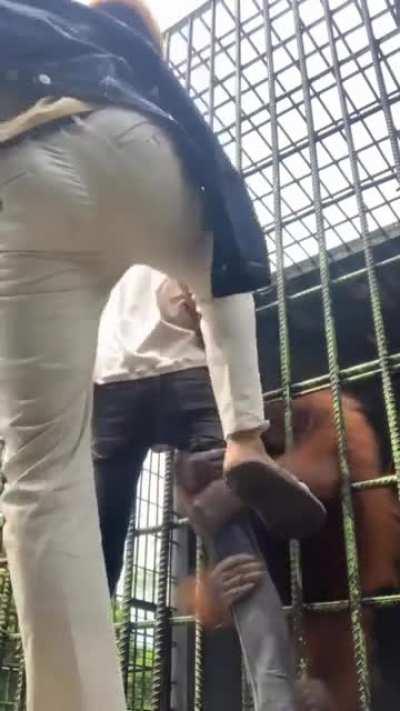 А ну иди сюда, мать твою