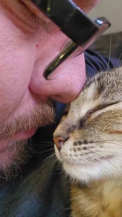 Who loves kitten purrs?