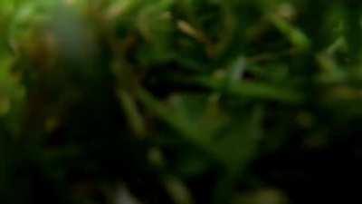 Steph gets taken down by The Arrma Kraton 8s EXB