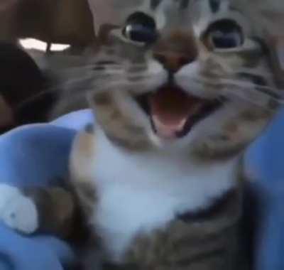 Here’s a treat for you Ryan