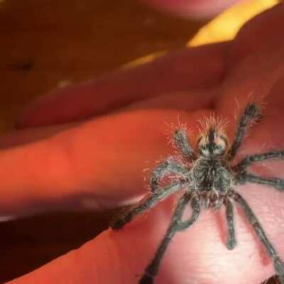 Gotta love the purple pink toe