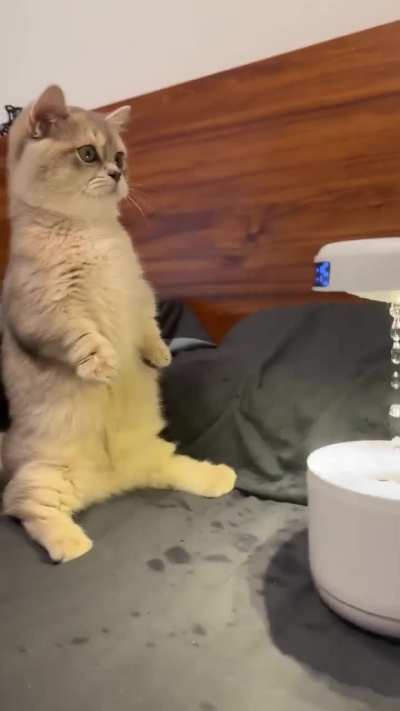 Confused and curious at the same time 😂