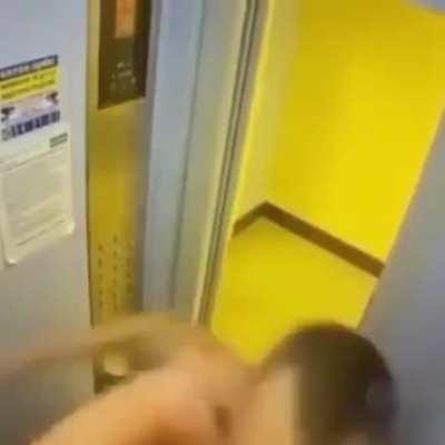 A meme i found and i find it hilarious