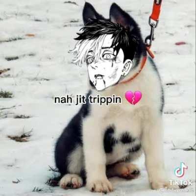 *spoilers af* but these videos are too funny.. 😂