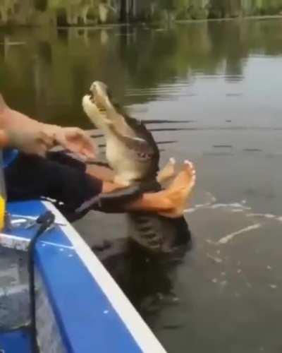 Nerves of steel, to boop a forbidden one.