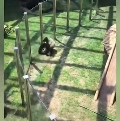 It doesn't end there!