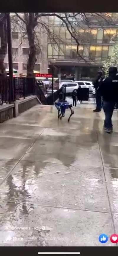 Robot Police Dogs in New York City is reality. The future has imploded into the present.