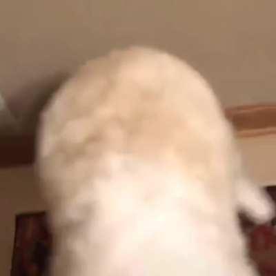 На случай повторения карантина