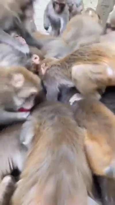 I'm reminded of opening the doors on Black Friday.