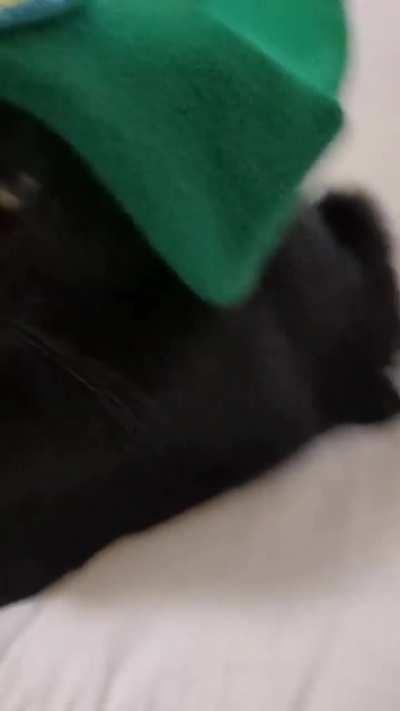 car likes tylah?😱