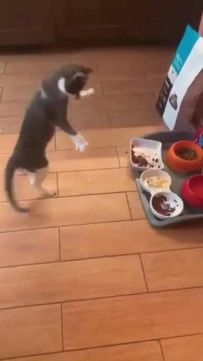 Having so many choices of food varities