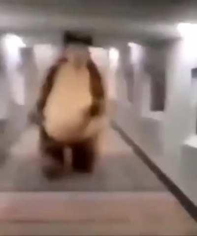 the bear is coming for you