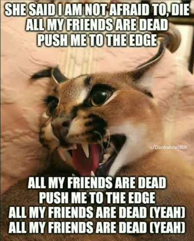 XO Flop Life (comment for song requests)