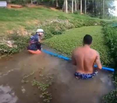 Clearing the river of an invasive species