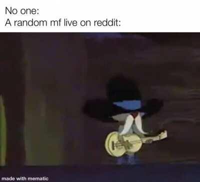 This or a random cat