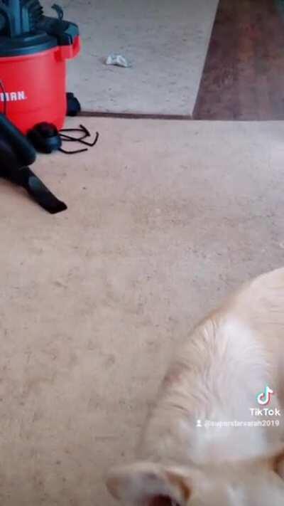 Not drunk, just dancing! 😂 Happy St Patrick's day everybody!