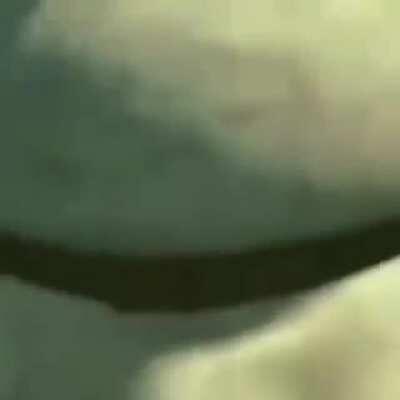 I guess shrek is still love.