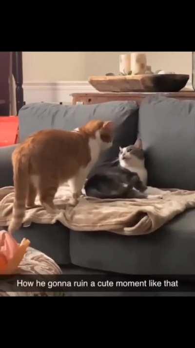 Ruining a romantic moment