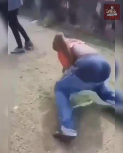 He brought a tree to a fist fight