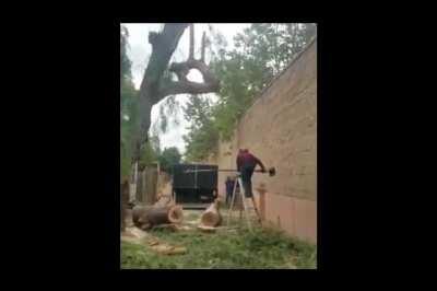 It's just a stupid branch, I'll do it myself!