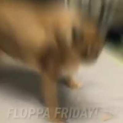 That time of the week