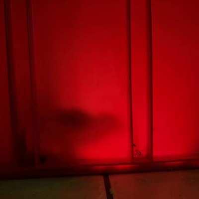 A cute chick does the silhouette challenge