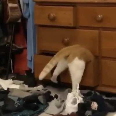 Trying to Find Your Siblings Stash…