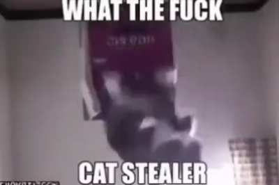 C  he s car s as   Vdsssdc