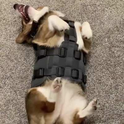 Struggling to roll over