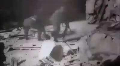 Vocês querem ir a guerra??