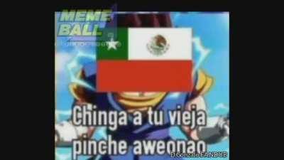 🦧🐒🐒🐒🦧🦧