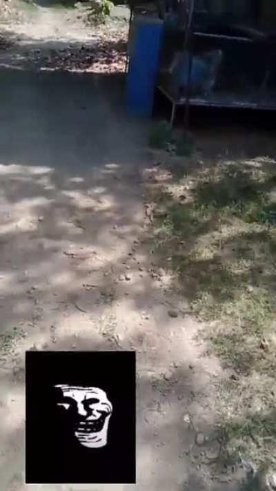 how to drive plane✈️ tutorial😲😲 hd😯 1080p😳 certified halal 😁👍🇸🇦 حلال