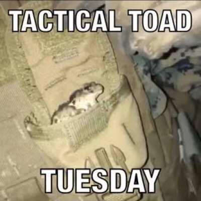 You don't have a EDC toad?