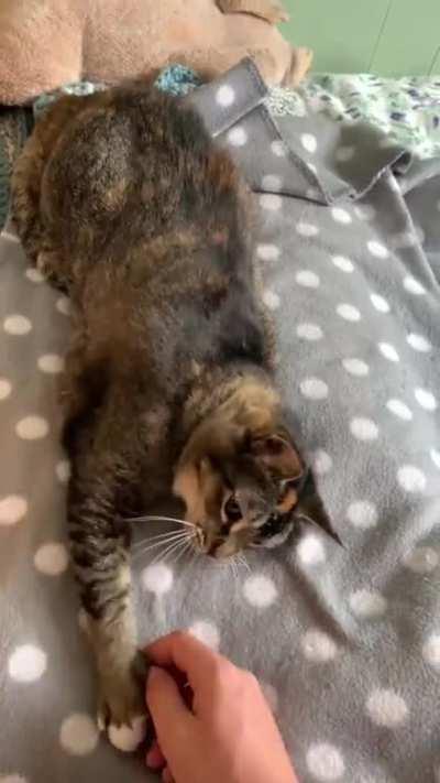 I am not allowed to stop