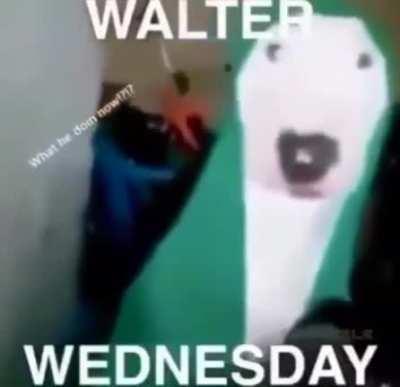 You know what day it is