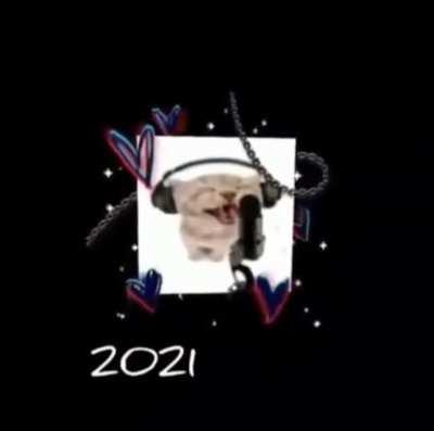 Cat spittin bars 😯😼