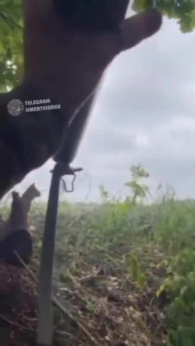 US foreign legion fighters fighting in the Severodonetsk area