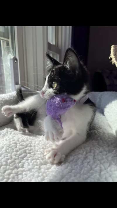 Not just a criminal, but a psycho killer