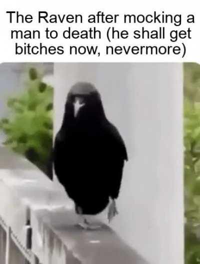 The gaunt, ghastly raven, who gets bitches named lenore