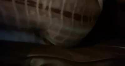 My fat ass in tight pants makes even my small farts sound great 🌚