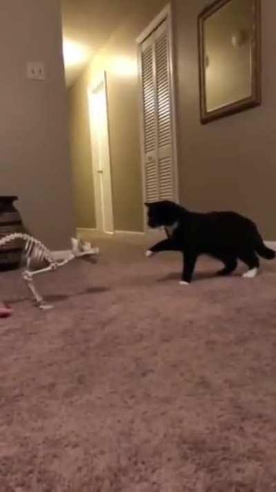 Почти познакомился