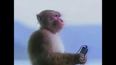 when da LAND AND SKYYYYYY hit you