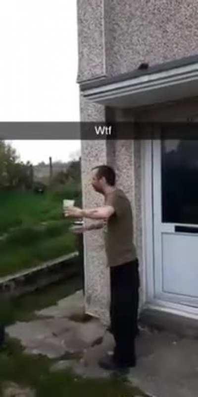 Fire breathing dragon turns into an earth worm.