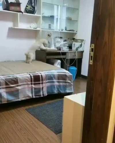 Если отдыхать, то при полном комфорте! Интересно, а заправлять одеяло в пододеяльник этот песель тоже сам умеет?