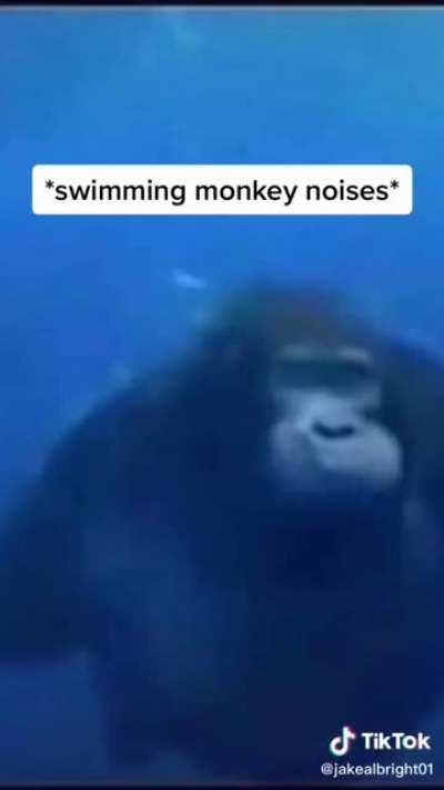 Swimming monkey 😎🤙🏽