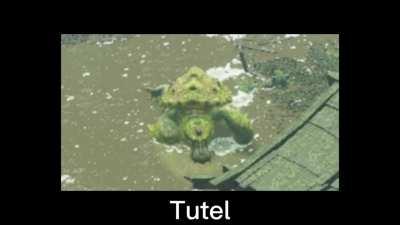 tutel.
